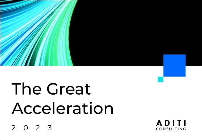 the-great-acceleration-2023b